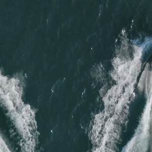 31. Saison mit erfolgreichen Bootsprüfungen Motorboot Kat. A gestartet